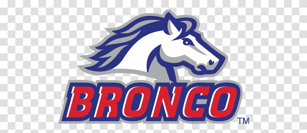 Bronco Division Rules Pony Baseball Logo, Poster, Mammal, Animal, Nature Transparent Png