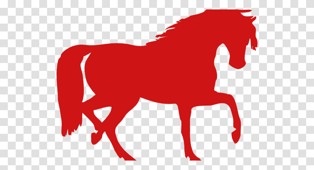 Bronco Horse Pictures Free Download Clip Art, Mammal, Animal, Wildlife, Bison Transparent Png