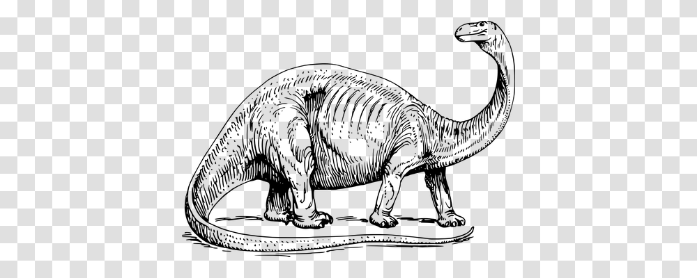 Brontosaurus Gray, World Of Warcraft Transparent Png