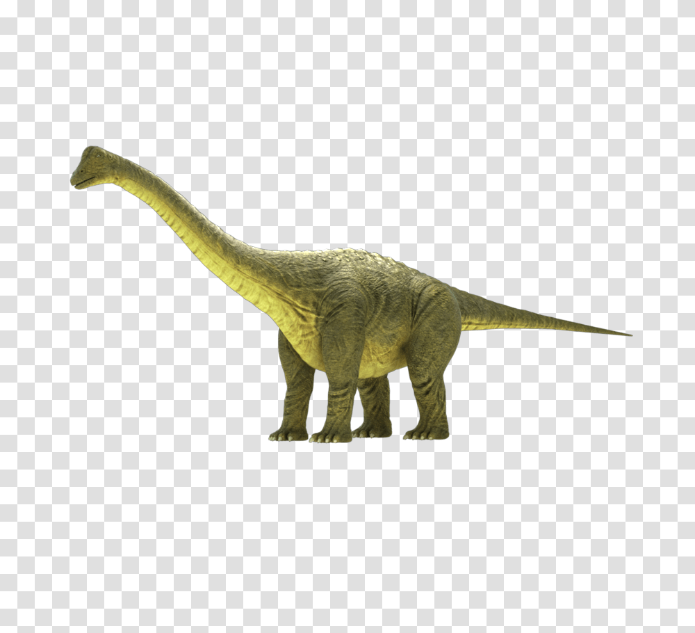 Brontosaurus Rig, Dinosaur, Reptile, Animal, T-Rex Transparent Png