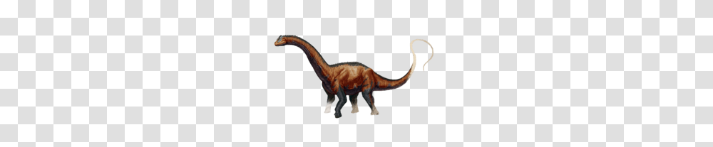 Brontosaurus, T-Rex, Dinosaur, Reptile, Animal Transparent Png
