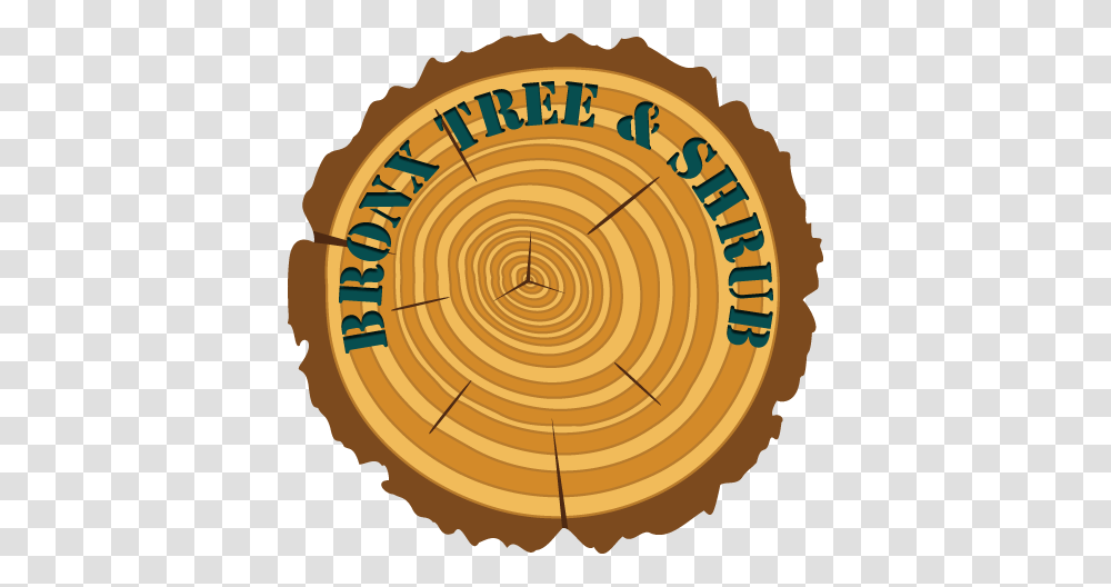 Bronx Riverdale Tree Service Pruning Removal Bronx Tree Shrub, Wood, Maze, Labyrinth, Shooting Range Transparent Png