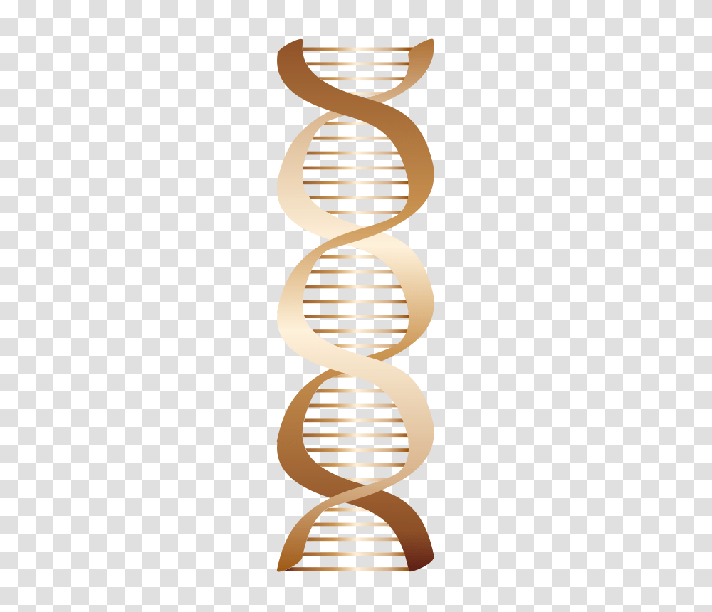 Bronze DNA Icon, Technology, Logo, Trademark Transparent Png