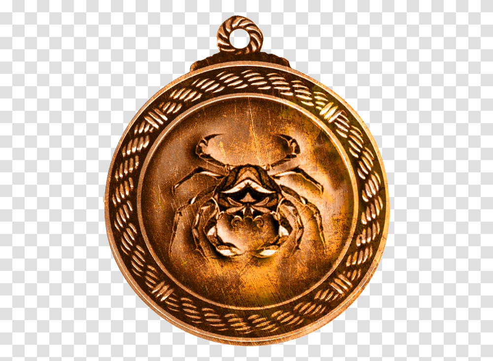 Bronze, Gold, Gold Medal, Trophy Transparent Png