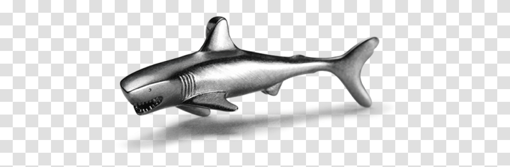 Bronze Hammerhead Shark, Sea Life, Fish, Animal, Great White Shark Transparent Png