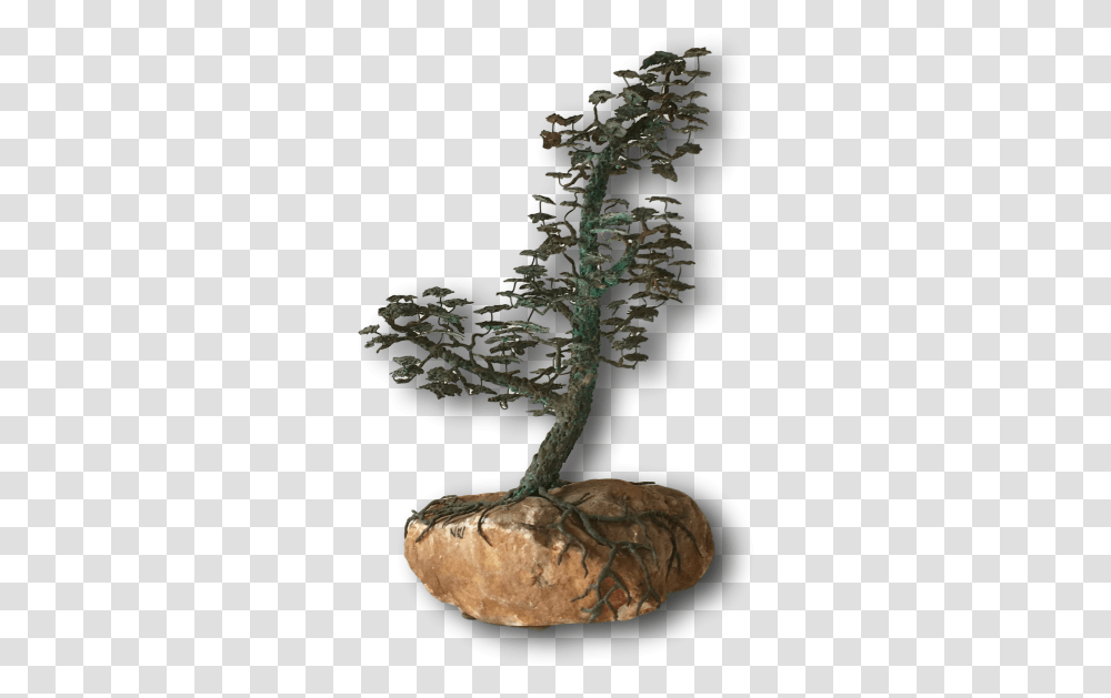 Bronze Of A Bonsai Tree In Full Leaf 1960s Houseplant, Potted Plant, Vase, Jar, Pottery Transparent Png
