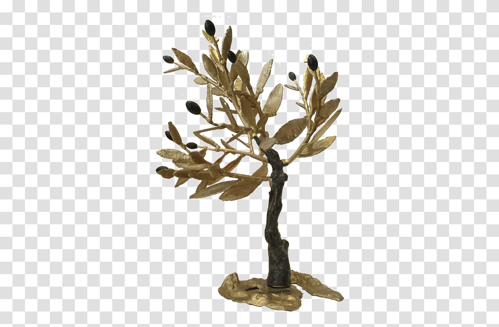 Bronze Olive Tree 001 Kallistigallery Magnolia, Plant, Seed, Grain, Produce Transparent Png