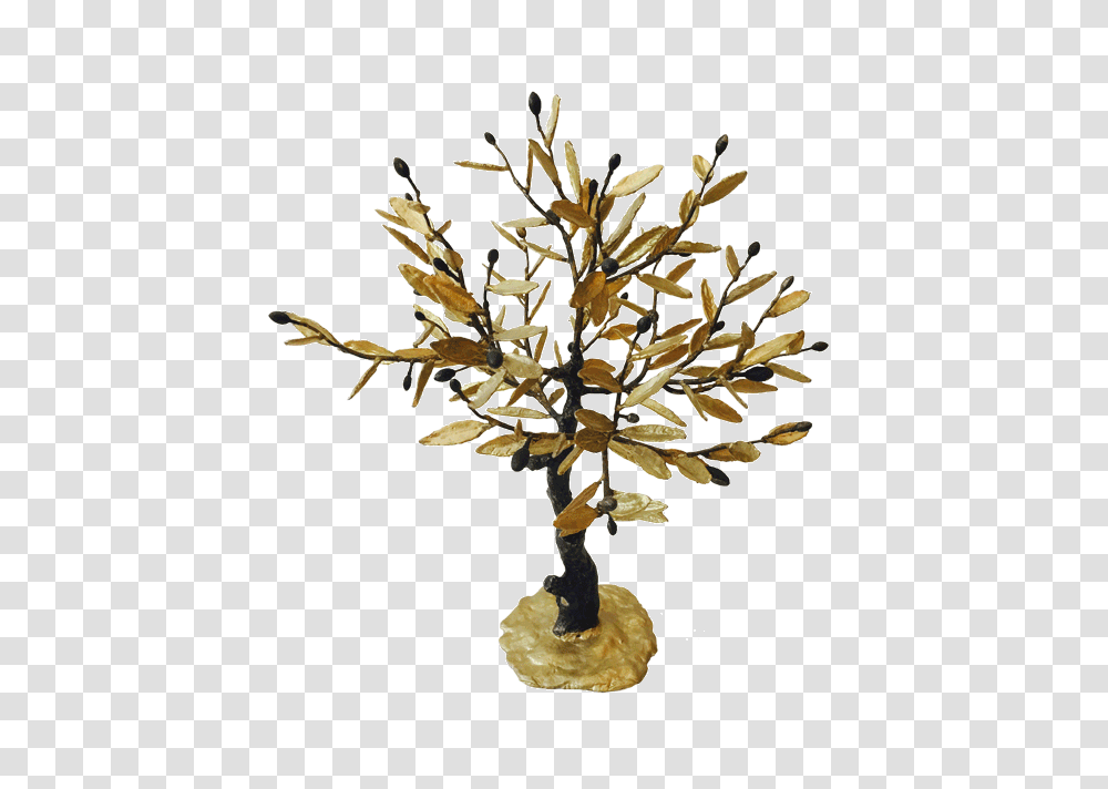 Bronze Olive Tree Kallisti Gallery, Plant, Leaf, Bird, Animal Transparent Png