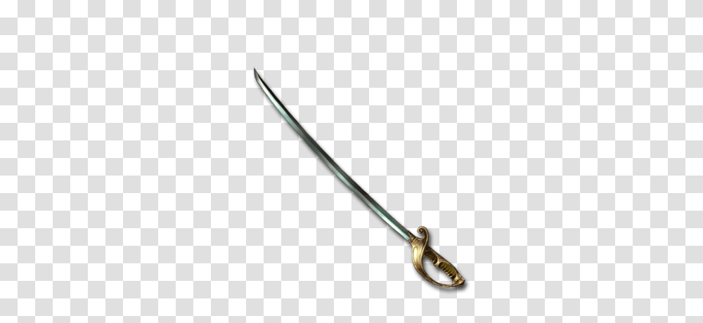Bronze Saber, Sword, Blade, Weapon, Weaponry Transparent Png