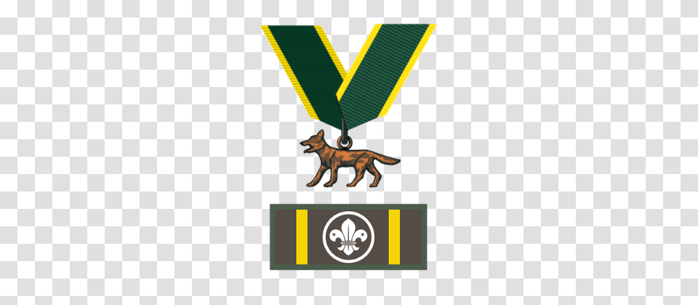 Bronze Wolf Award, Hot Air Balloon, Aircraft, Vehicle, Transportation Transparent Png