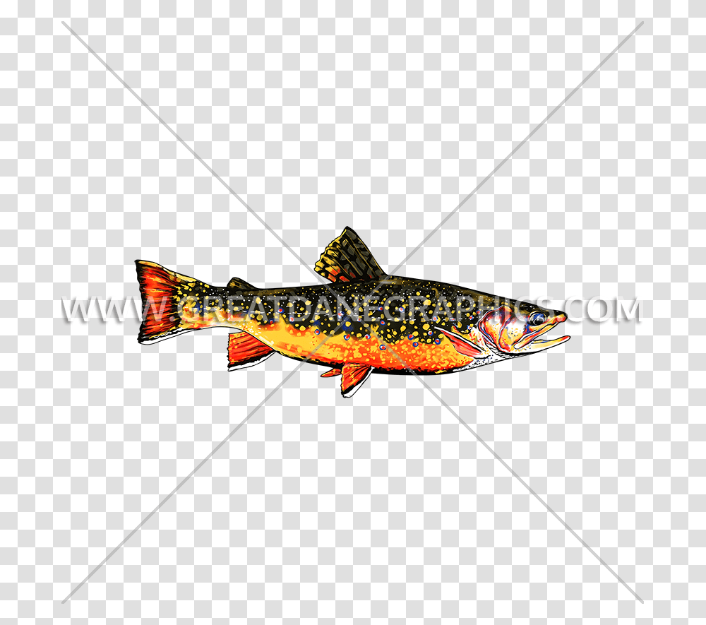 Brook Trout Production Ready Artwork For T Shirt Printing, Fish, Animal, Coho, Pike Transparent Png