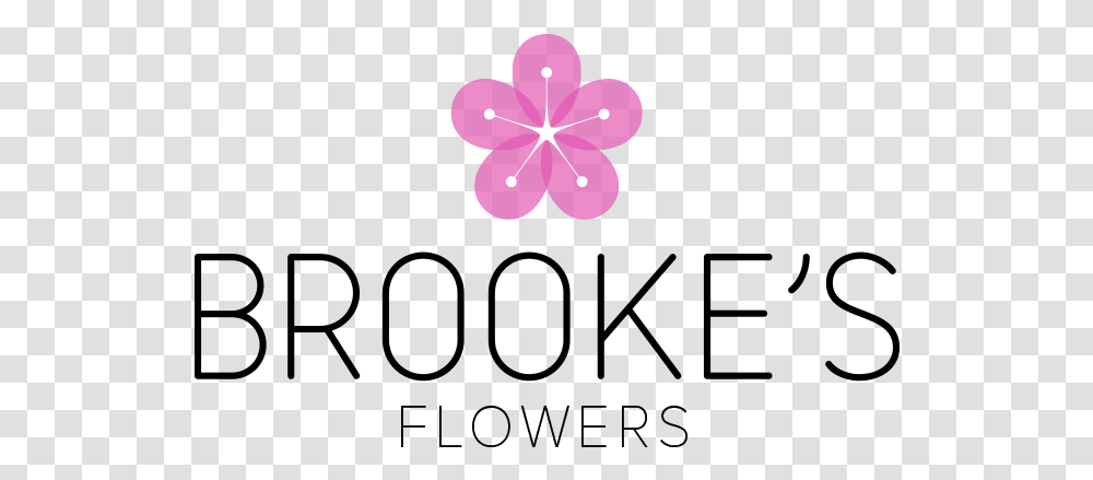 Brooke S Flowers Floral Design, Purple, Plant, Light, Petal Transparent Png