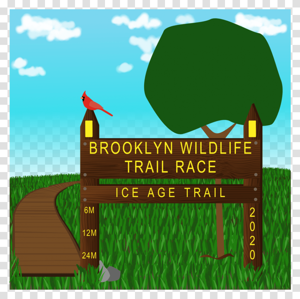Brooklyn Wildlife Trail Race 2020 Illustration, Outdoors, Nature, Vegetation, Plant Transparent Png
