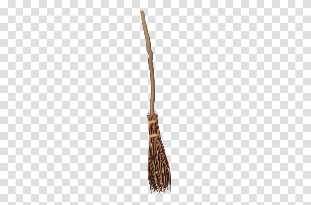 Broom, Tool, Plant, Tree, Palm Tree Transparent Png