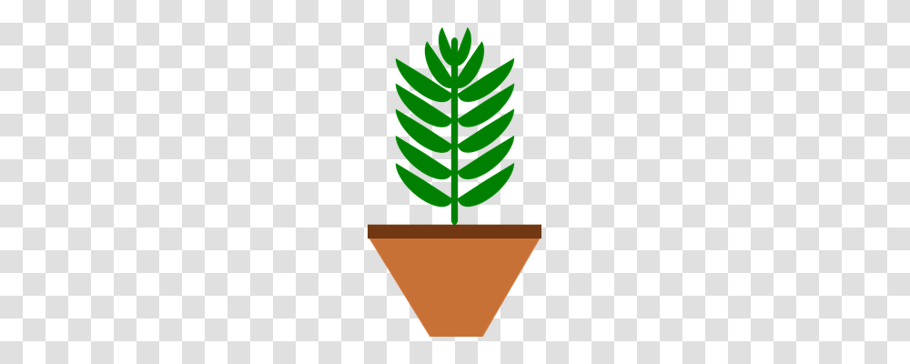 Brown Nature, Plant, Tree, Spiral Transparent Png
