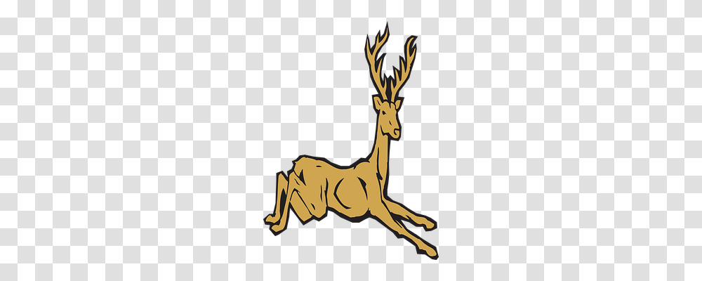 Brown Nature, Deer, Wildlife, Mammal Transparent Png