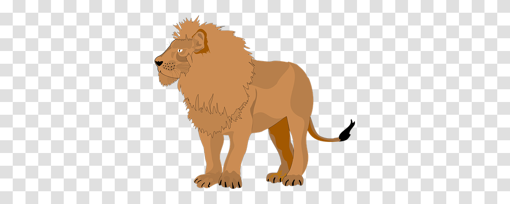 Brown Animals, Mammal, Lion, Wildlife Transparent Png