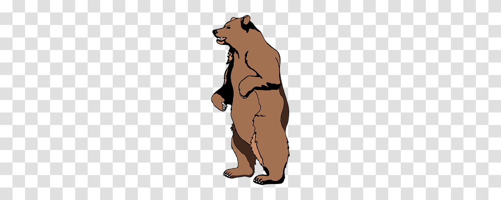 Brown Animals, Person, Face Transparent Png