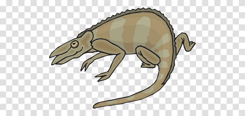 Brown And Gray Chameleon Clip Art, Animal, Reptile, Wildlife, Lizard Transparent Png