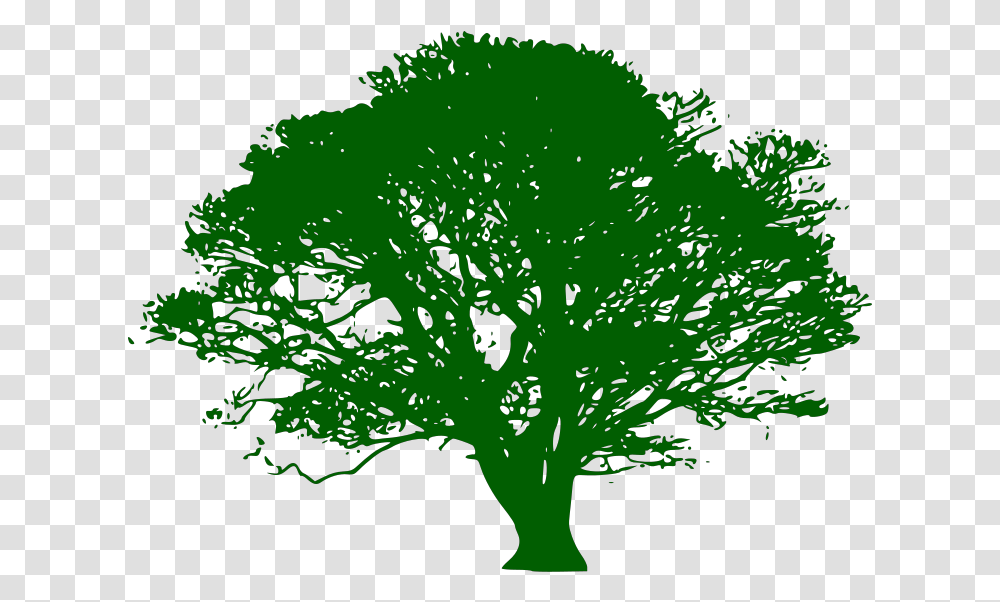 Brown And Green Tree Branch Svg Clip Arts Silhouette Big Tree Vector, Plant, Bush, Vegetation, Moss Transparent Png
