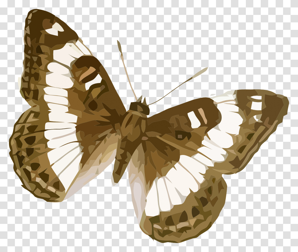 Brown And White Striped Butterfly, Insect, Invertebrate, Animal, Moth Transparent Png
