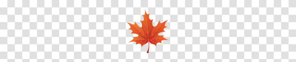 Brown Autumn Leaf Clipart Image M Clip Art, Plant, Tree, Maple, Maple Leaf Transparent Png
