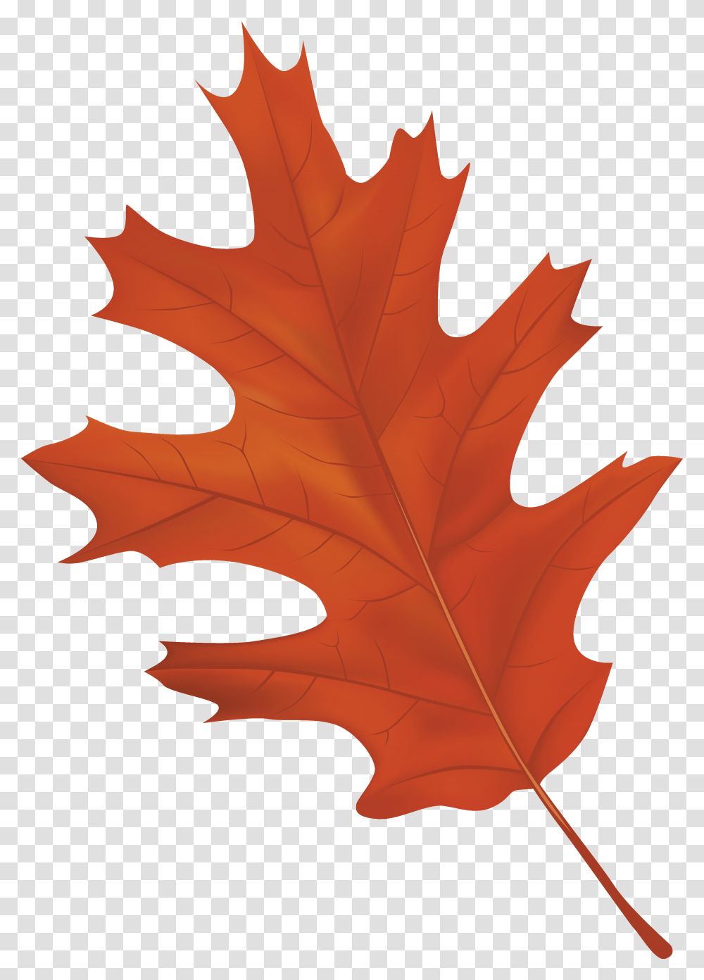 Brown Autumn Leaf Clipart, Plant, Tree, Maple, Maple Leaf Transparent Png
