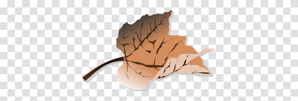 Brown Autumn Leaf Vector Clip Art Dead Leaves Clipart, Plant, Tree, Tobacco, Root Transparent Png