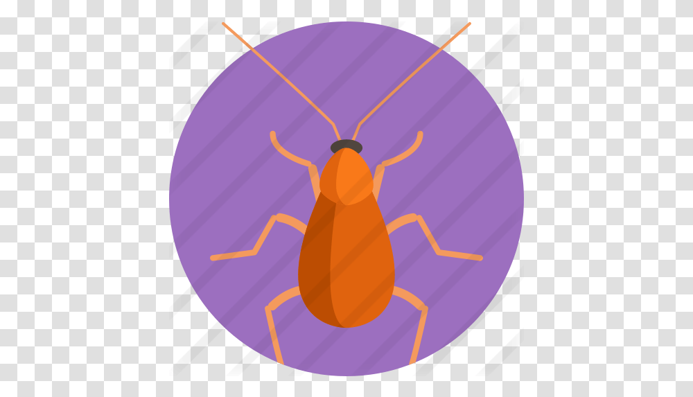 Brown Banded Cockroach Free Animals Icons Weevil, Insect, Invertebrate, Balloon, Flea Transparent Png
