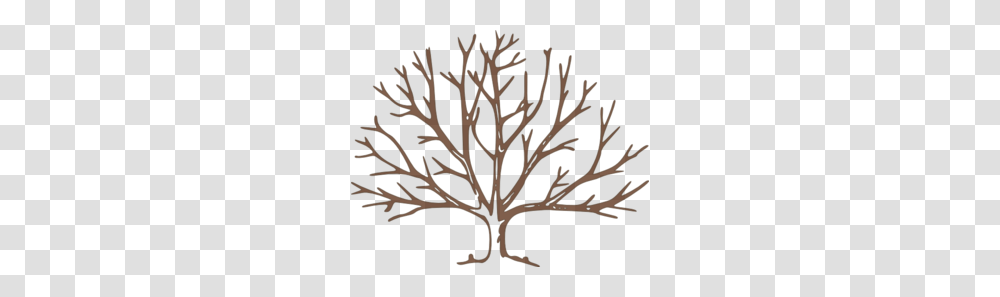 Brown Bare Tree Clip Art, Nature, Outdoors, Night, Plant Transparent Png