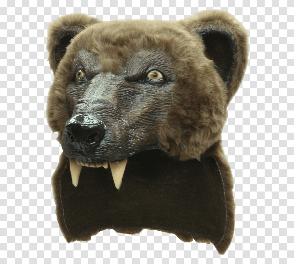 Brown Bear Costume Head Mask Bear Helmet Ghoulish Productions, Mammal, Animal, Wildlife, Dog Transparent Png