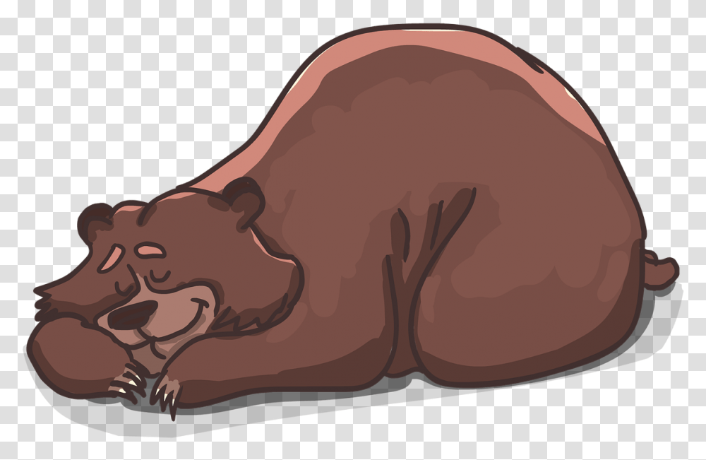 Brown Bear Sleeping Clipart, Mammal, Animal, Hippo, Wildlife Transparent Png