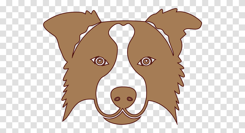 Brown Border Collie Icon, Face, Pattern Transparent Png