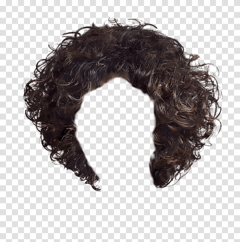 Brown Brunette Curlyhair Wig Curly Hair Short Hair Big Perms Transparent Png