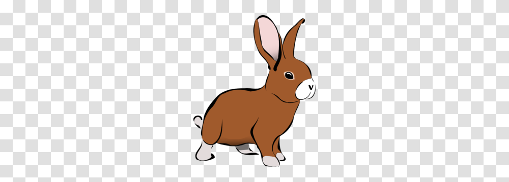 Brown Bunny Rabbit Clip Art, Mammal, Animal, Rodent Transparent Png