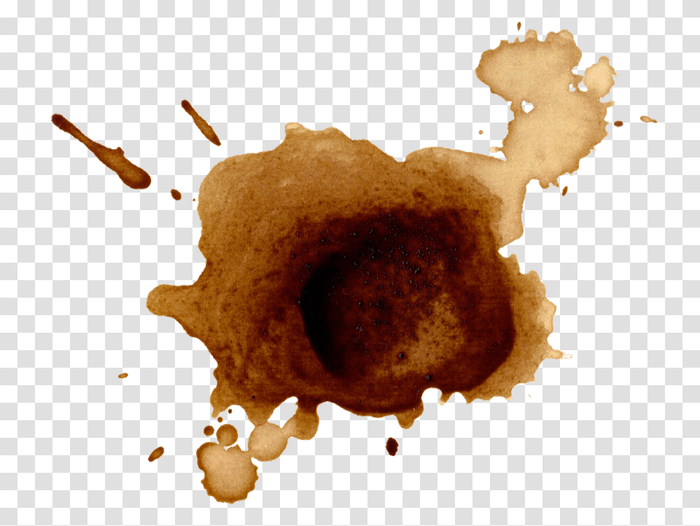 Brown Coffee Coffeestain Paint Art Splatter Paintsplatter Coffee Stain Background, Food, Fungus Transparent Png