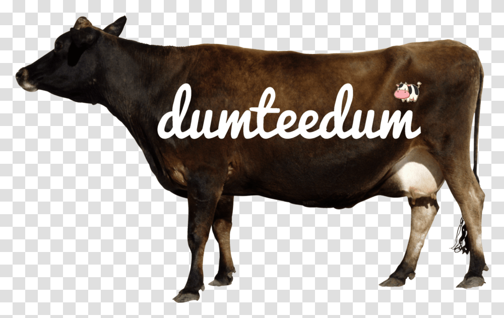 Brown Cow Logo Cow Side View, Bull, Mammal, Animal, Cattle Transparent Png