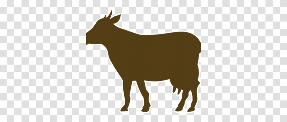 Brown Cow Marketing Bccmrktg Twitter Brown Cow Icon, Mammal, Animal, Goat, Wildlife Transparent Png
