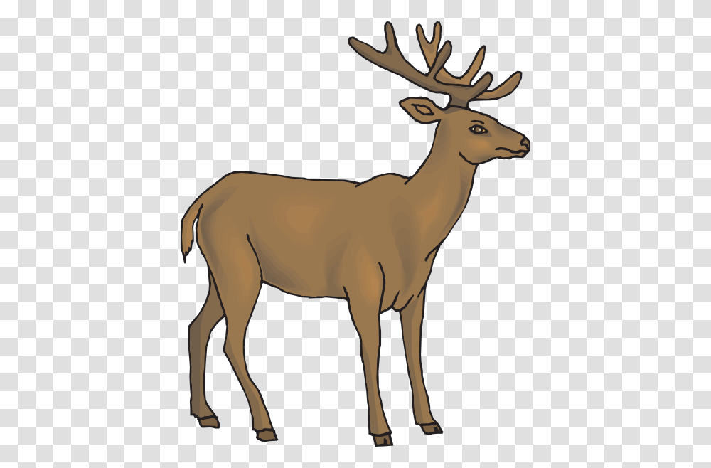 Brown Deer Clip Art For Web, Wildlife, Mammal, Animal, Antelope Transparent Png