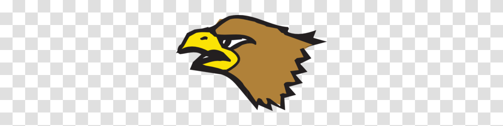 Brown Eagle Head Clip Art, Bird, Animal, Beak Transparent Png