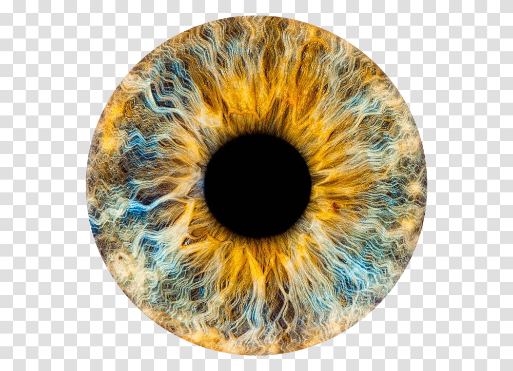 Brown Eye Eye Lens Hd Download, Ornament, Pattern, Photography, Fractal Transparent Png