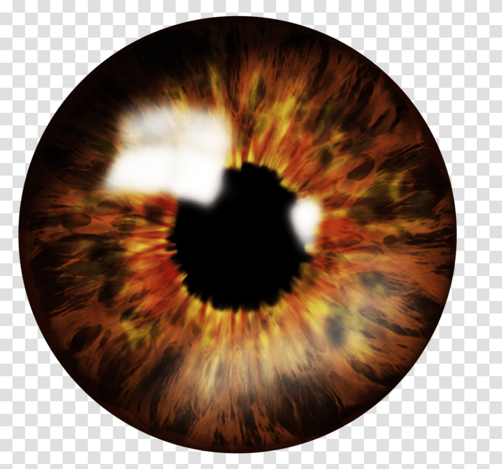 Brown Eye Lens, Ornament, Pattern, Fractal, Astronomy Transparent Png