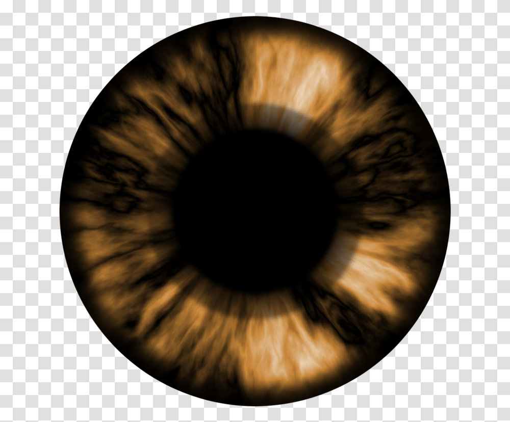 Brown Eye Lens, Photography, Portrait, Face, Astronomy Transparent Png