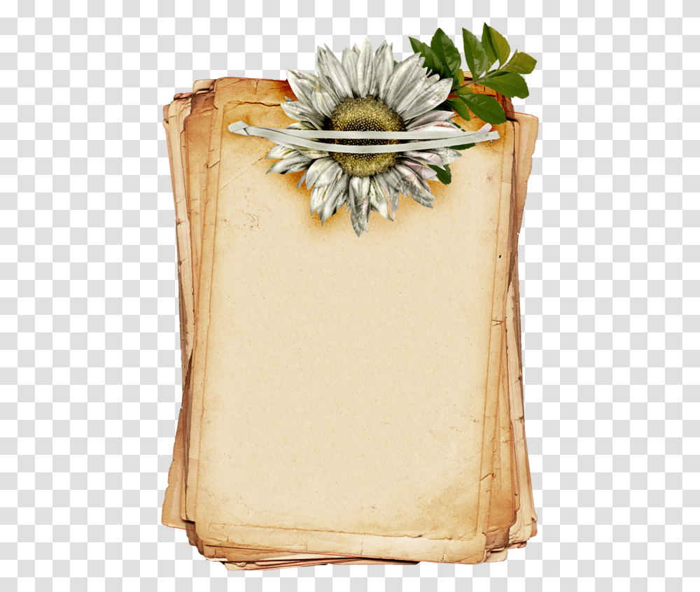 Brown Flower Background, Plant, Blossom, Scroll Transparent Png
