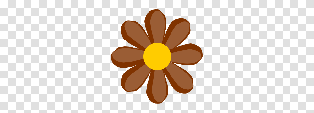 Brown Flower Clip Art, Plant, Pattern, Daisy, Petal Transparent Png