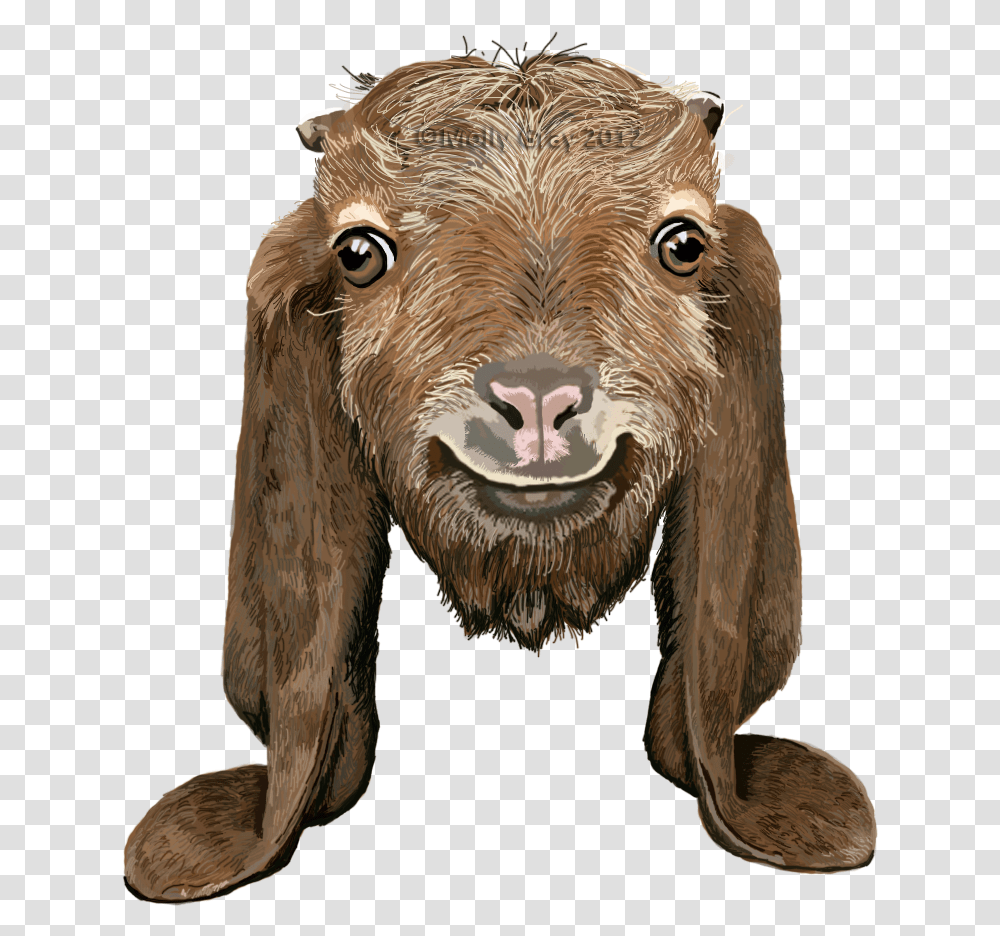 Brown Goat Long Ears, Elephant, Wildlife, Mammal, Animal Transparent Png