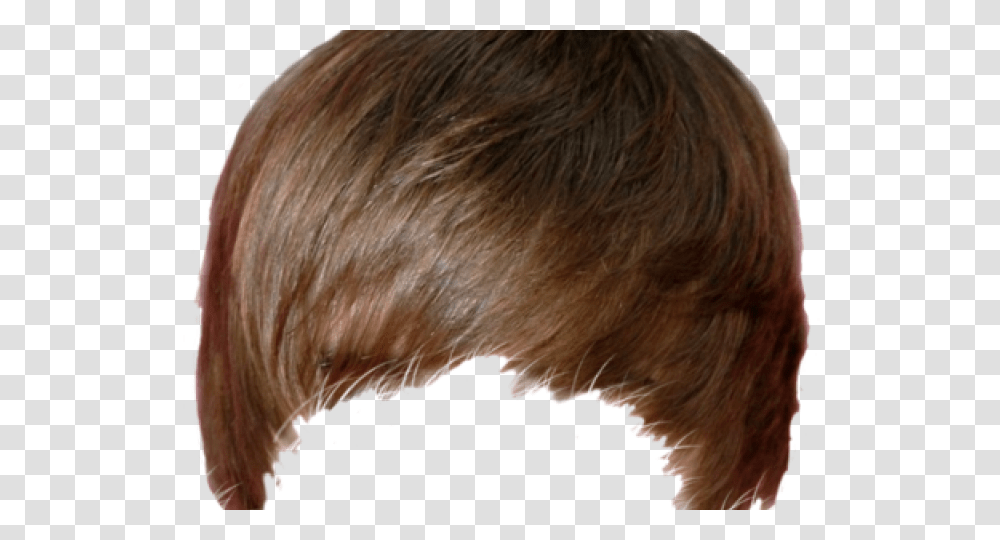 Brown Hair Clipart Ssumit49 Justin Bieber Hair, Person, Skin, Head, Nature Transparent Png