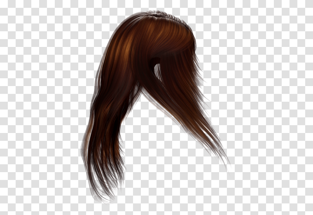 Brown Hair Gif, Person, Human, Wig Transparent Png