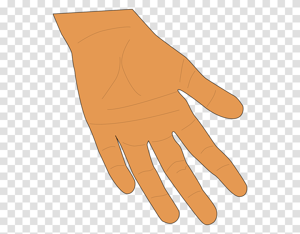 Brown Hand, Wrist, Finger Transparent Png