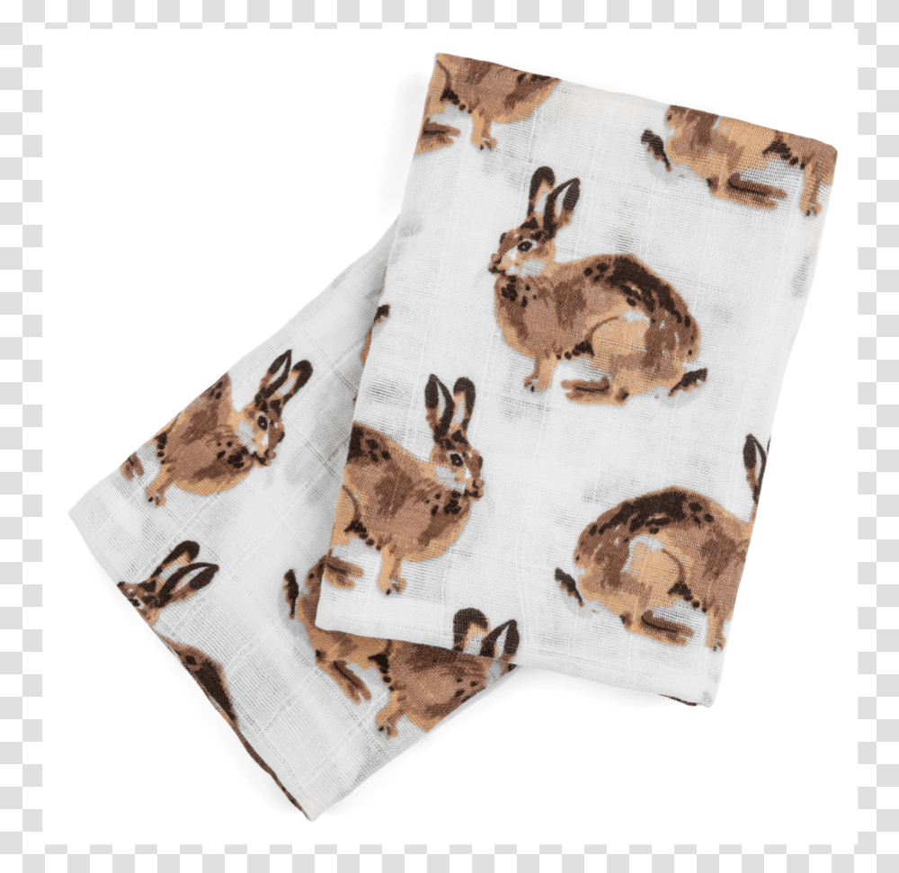 Brown Hare, Tie, Accessories, Bird, Animal Transparent Png